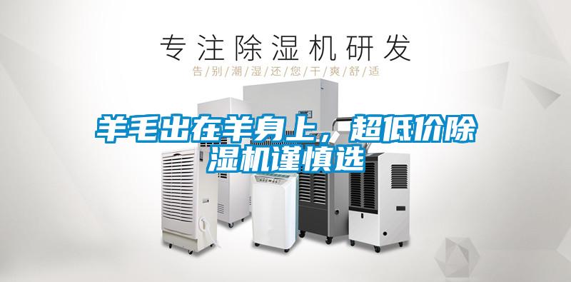羊毛出在羊身上，超低價除濕機謹(jǐn)慎選