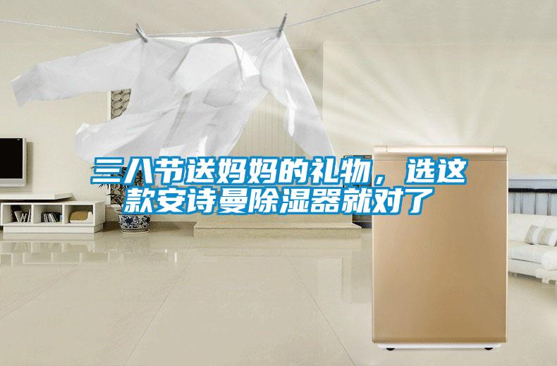 三八節(jié)送媽媽的禮物，選這款安詩(shī)曼除濕器就對(duì)了