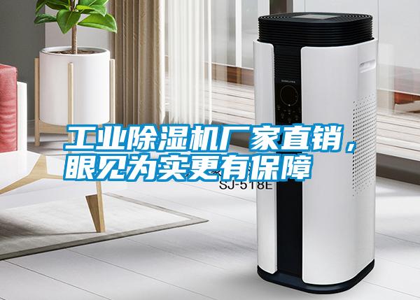 工業(yè)除濕機(jī)廠家直銷，眼見(jiàn)為實(shí)更有保障