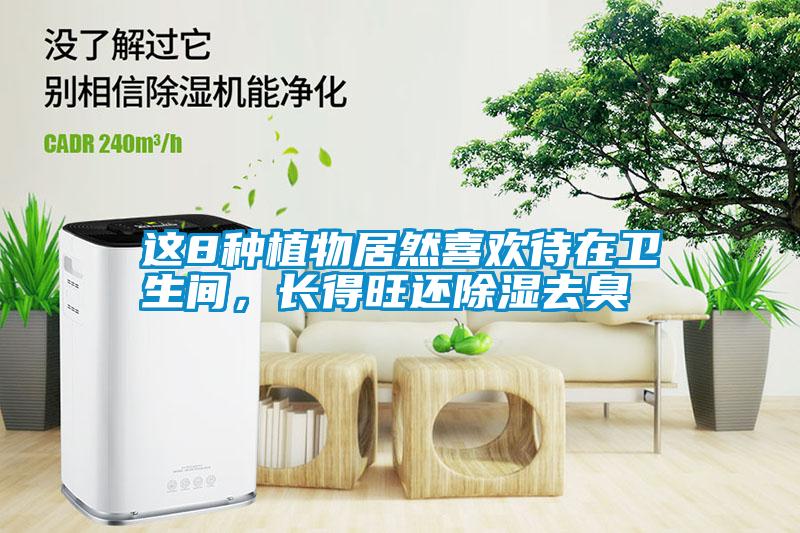 這8種植物居然喜歡待在衛(wèi)生間，長(zhǎng)得旺還除濕去臭