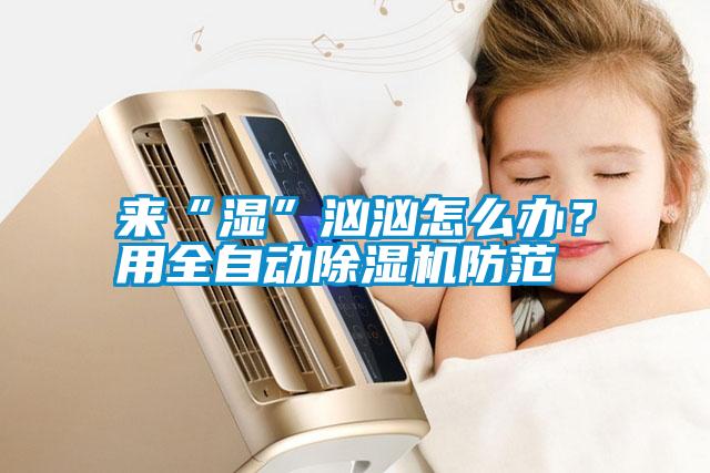 來“濕”洶洶怎么辦？用全自動除濕機防范