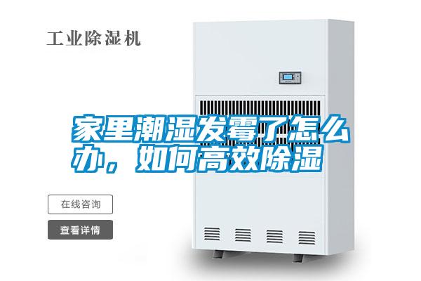 家里潮濕發(fā)霉了怎么辦，如何高效除濕