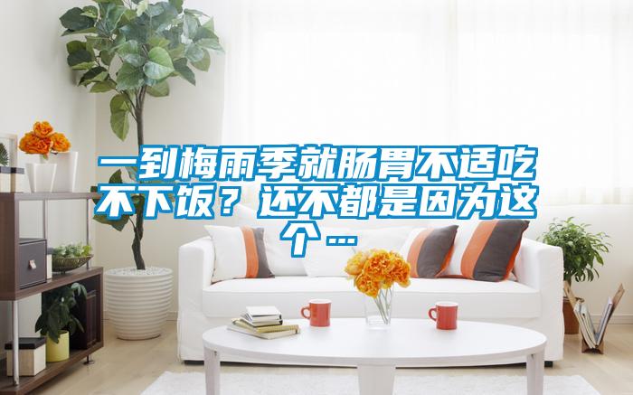 一到梅雨季就腸胃不適吃不下飯？還不都是因?yàn)檫@個(gè)…