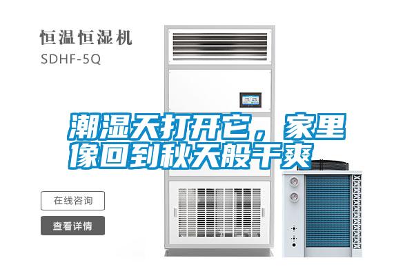 潮濕天打開(kāi)它，家里像回到秋天般干爽