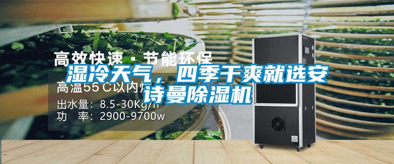 濕冷天氣，四季干爽就選安詩曼除濕機(jī)