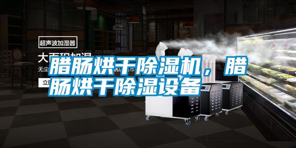 臘腸烘干除濕機，臘腸烘干除濕設(shè)備