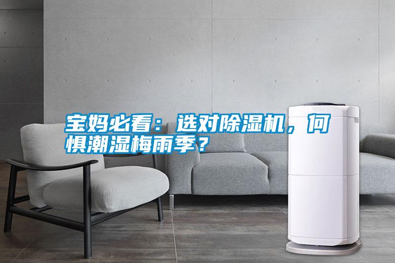 寶媽必看：選對(duì)除濕機(jī)，何懼潮濕梅雨季？