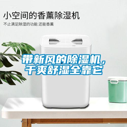 帶新風(fēng)的除濕機(jī)，干爽舒濕全靠它