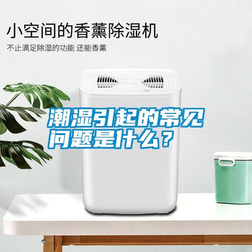 潮濕引起的常見問題是什么？