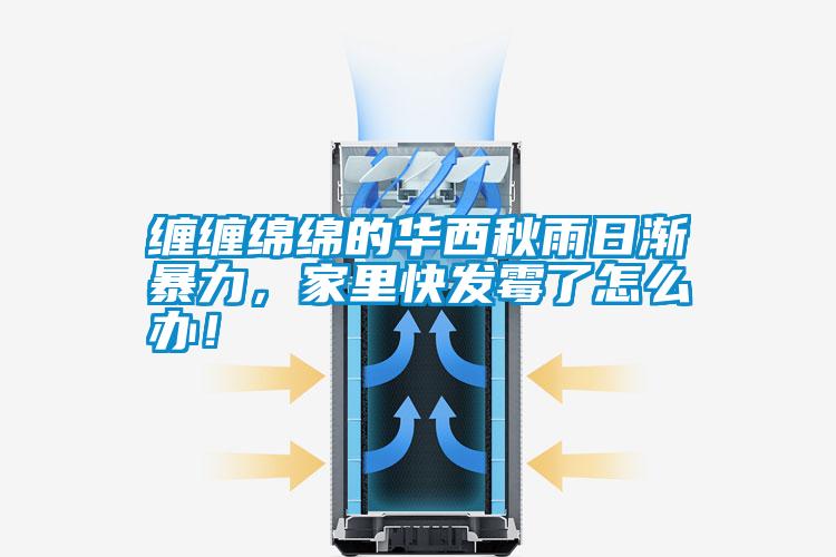 纏纏綿綿的華西秋雨日漸暴力，家里快發(fā)霉了怎么辦！