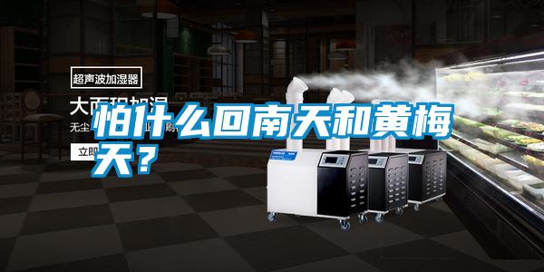 怕什么回南天和黃梅天？