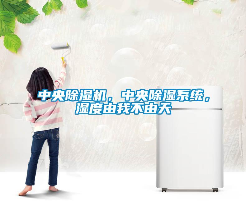 中央除濕機，中央除濕系統(tǒng)，濕度由我不由天