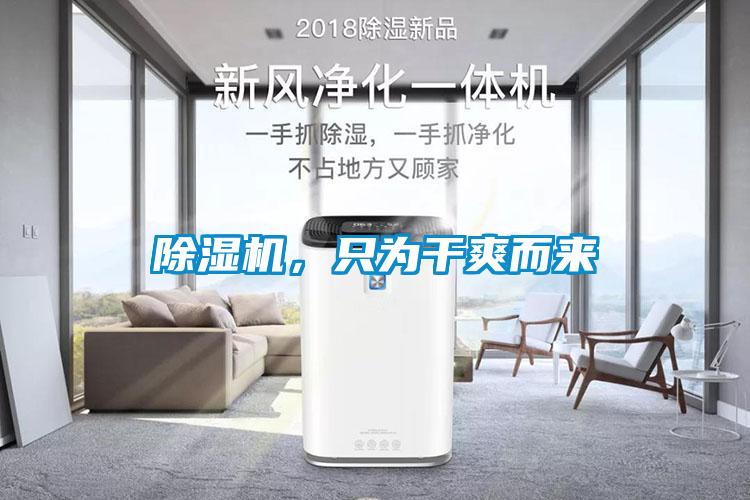 除濕機，只為干爽而來