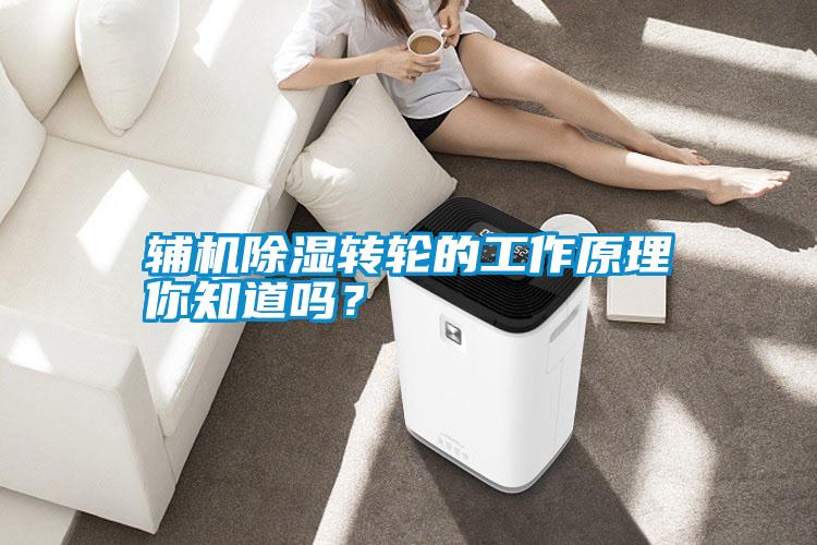 輔機除濕轉(zhuǎn)輪的工作原理你知道嗎？
