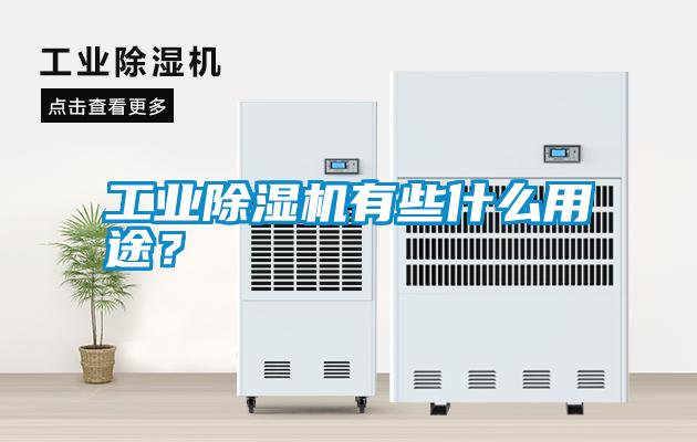 工業(yè)除濕機(jī)有些什么用途？