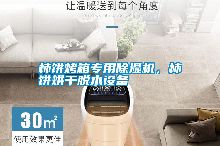 柿餅烤箱專用除濕機(jī)，柿餅烘干脫水設(shè)備