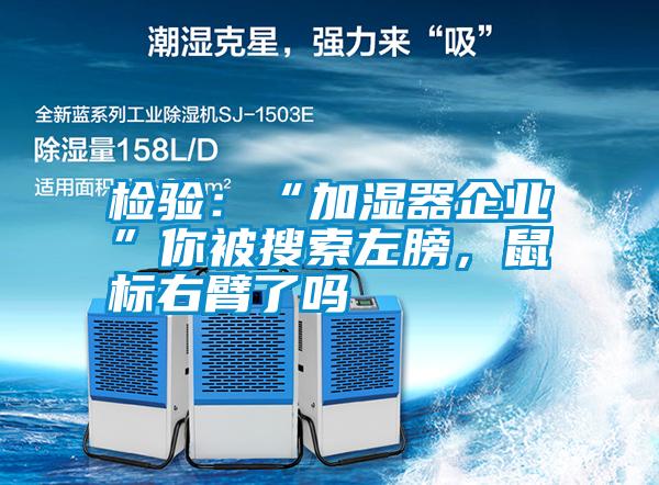 檢驗(yàn)：“加濕器企業(yè)”你被搜索左膀，鼠標(biāo)右臂了嗎