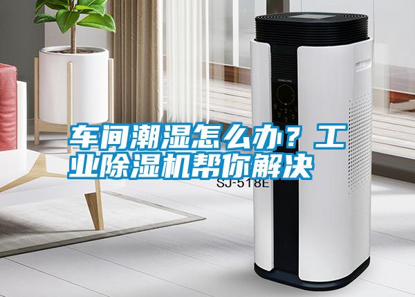 車間潮濕怎么辦？工業(yè)除濕機幫你解決