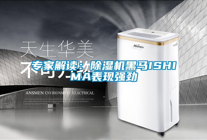 專家解讀：除濕機黑馬ISHIMA表現(xiàn)強勁