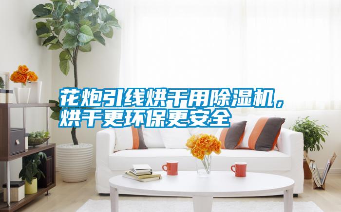 花炮引線烘干用除濕機，烘干更環(huán)保更安全