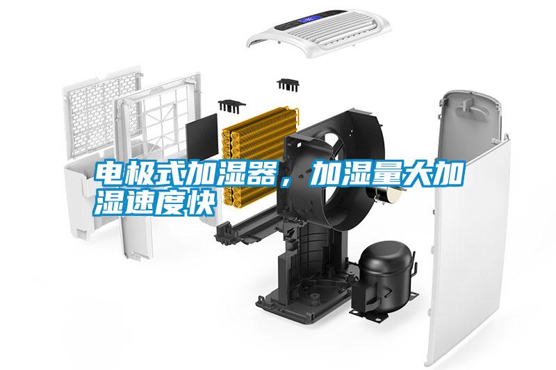電極式加濕器，加濕量大加濕速度快