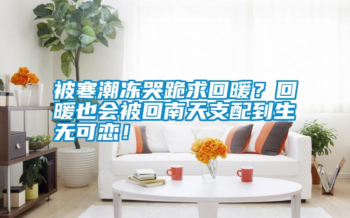 被寒潮凍哭跪求回暖？回暖也會被回南天支配到生無可戀！