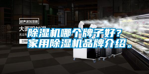 除濕機(jī)哪個(gè)牌子好？家用除濕機(jī)品牌介紹。