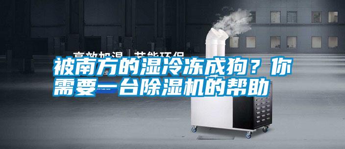 被南方的濕冷凍成狗？你需要一臺(tái)除濕機(jī)的幫助