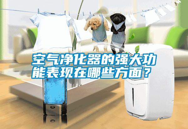 空氣凈化器的強(qiáng)大功能表現(xiàn)在哪些方面？