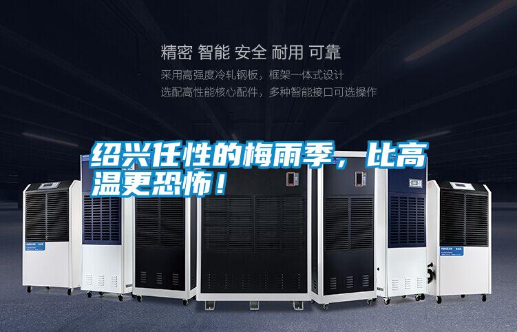 紹興任性的梅雨季，比高溫更恐怖！