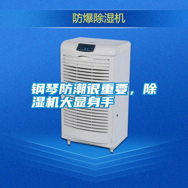 鋼琴防潮很重要，除濕機(jī)大顯身手