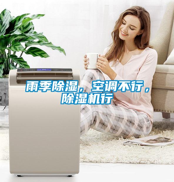 雨季除濕，空調(diào)不行，除濕機(jī)行