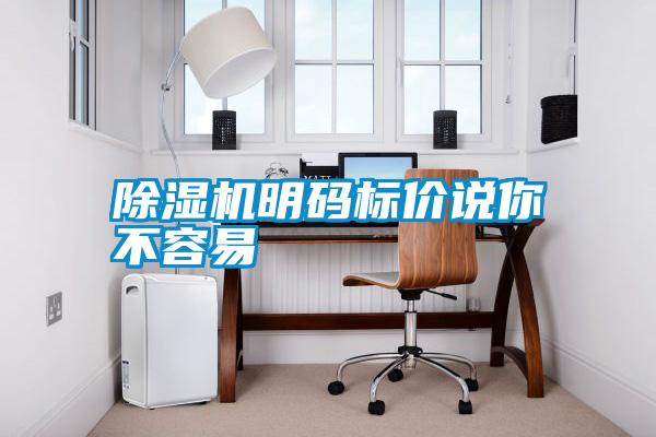 除濕機(jī)明碼標(biāo)價說你不容易