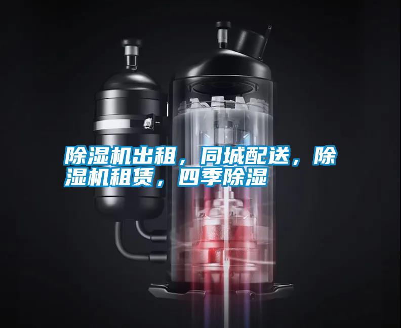 除濕機(jī)出租，同城配送，除濕機(jī)租賃，四季除濕