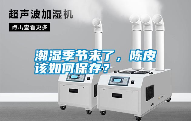 潮濕季節(jié)來(lái)了，陳皮該如何保存？