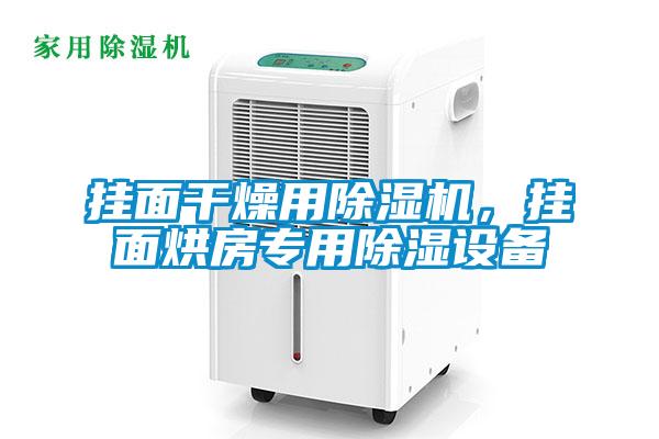 掛面干燥用除濕機，掛面烘房專用除濕設備