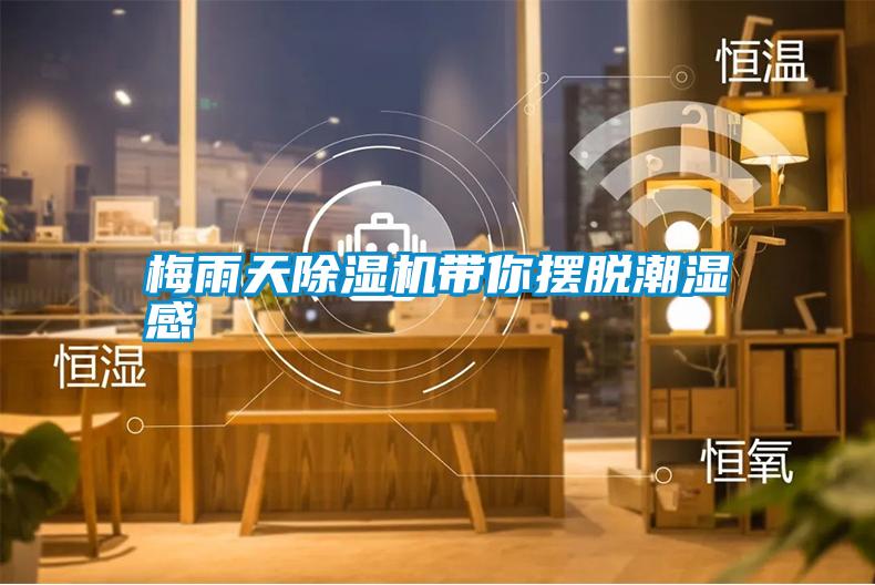 梅雨天除濕機帶你擺脫潮濕感