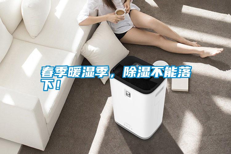 春季暖濕季，除濕不能落下！