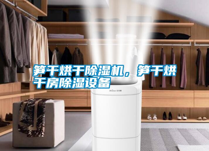 筍干烘干除濕機(jī)，筍干烘干房除濕設(shè)備