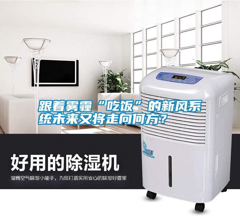 跟著霧霾“吃飯”的新風(fēng)系統(tǒng)未來又將走向何方？