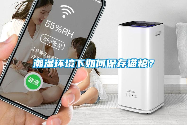 潮濕環(huán)境下如何保存貓糧？