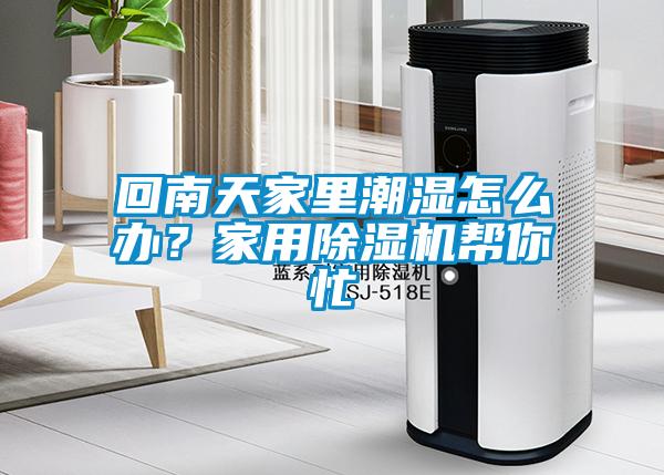 回南天家里潮濕怎么辦？家用除濕機(jī)幫你忙