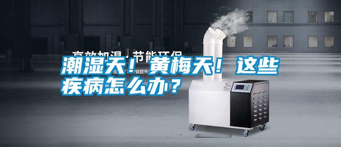 潮濕天！黃梅天！這些疾病怎么辦？