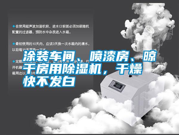 涂裝車間、噴漆房、晾干房用除濕機，干燥快不發(fā)白