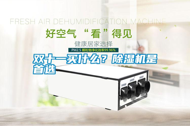 雙十一買什么？除濕機是首選