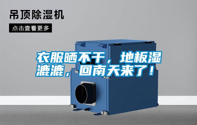 衣服曬不干，地板濕漉漉，回南天來(lái)了！