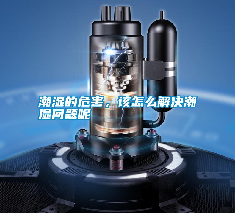 潮濕的危害，該怎么解決潮濕問題呢