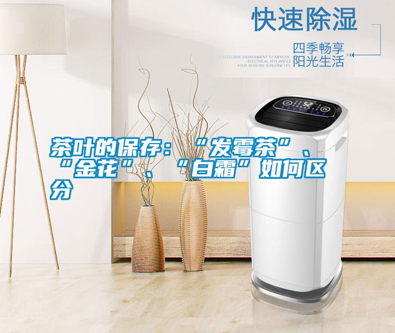 茶葉的保存：“發(fā)霉茶”、“金花”、“白霜”如何區(qū)分