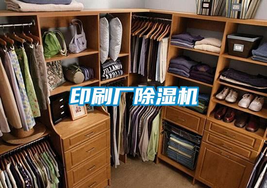印刷廠(chǎng)除濕機(jī)
