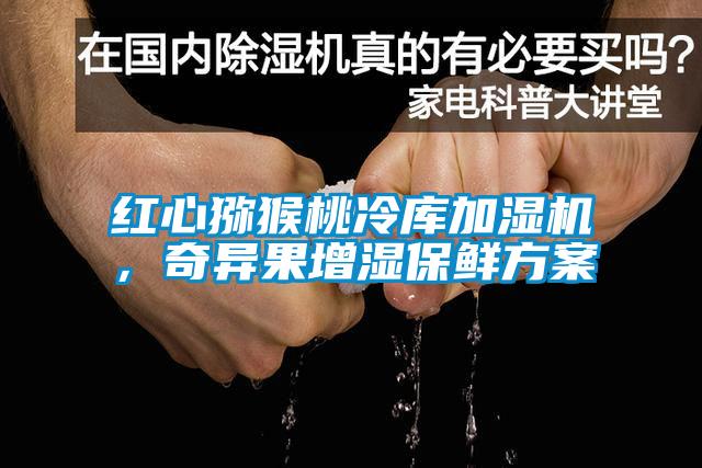 紅心獼猴桃冷庫加濕機(jī)，奇異果增濕保鮮方案